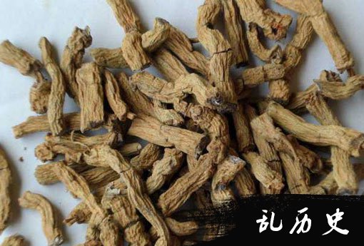 巴戟天图片大全 巴戟天功效与作用