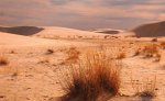 为什么很多湿润地区也会有沙漠?