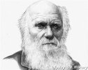 达尔文进化论无法解释人类的哭泣 现有的比较可信的理论有几种