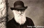 达尔文进化论如何被现代理论所否定 六大证据证明达尔文进化论的错误