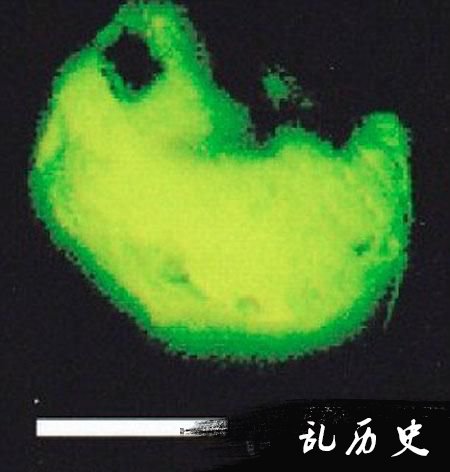 英国科学家发现的外星生命