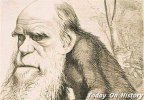 达尔文进化论再质疑：来自南美洲鸣禽类的挑战