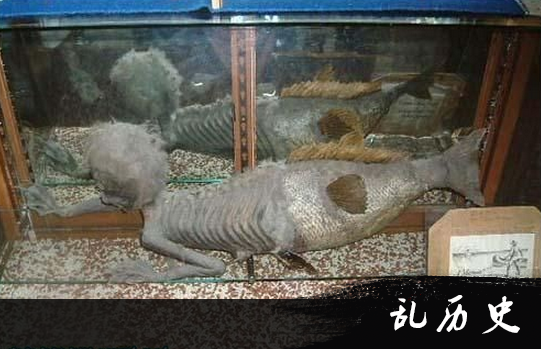 美人鱼真的存在！鲛人化石被发现