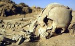 不挖骨头也能考古：从土壤里提取DNA
