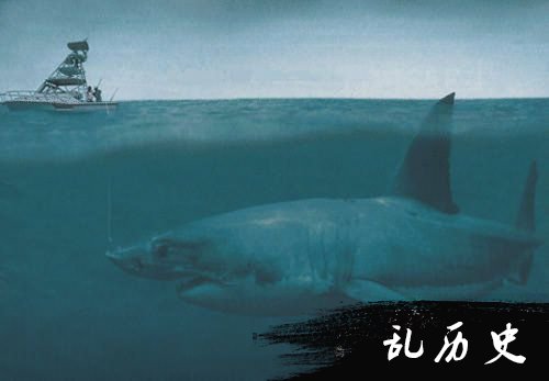 巨齿鲨生死谜 巨齿鲨还活着吗