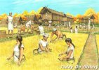 弥生时代水稻农耕文化：不仅仅是生产方式的革命