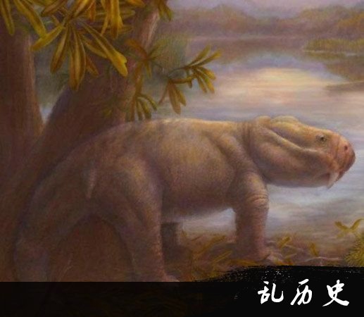 大灭绝后的恐龙化石 恐龙化石图片