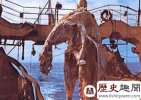 史前蛇颈龙：揭秘日本捕获海怪之谜