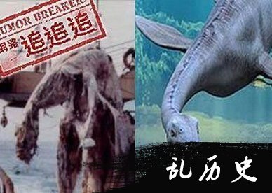 史前蛇颈龙：揭秘日本捕获海怪之谜