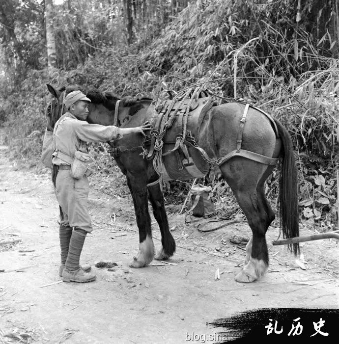 老照片∣美记者记录：抗战时期的中国远征军（二）