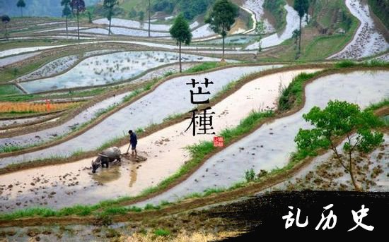 芒种节气习俗