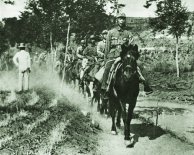 켽ոݵصĴ