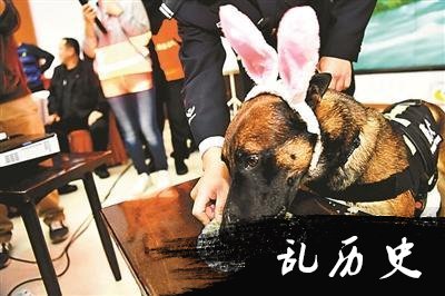 公安警犬集体过生日