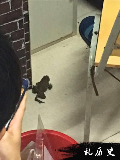 厂房包装 商家也想不出原因