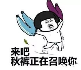 网络配图