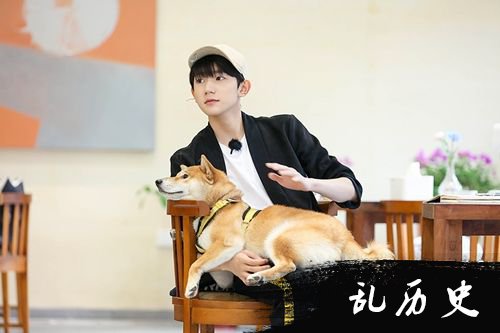 《青春旅社》曝光新剧照 王源强搂大虫一脸宠溺