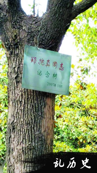 郑抱真：从抗日名将到合肥首任市长
