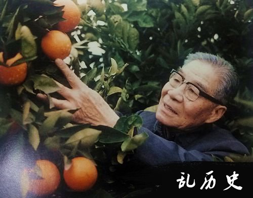 章文才