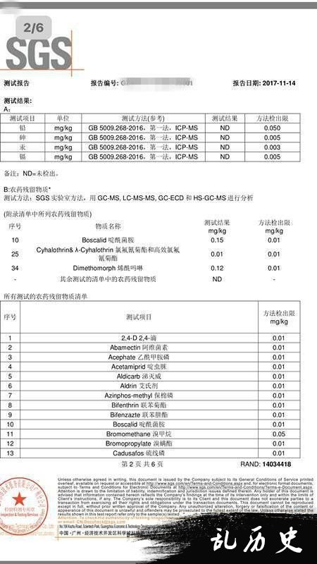 检查报告