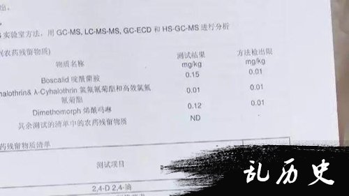 检查报告