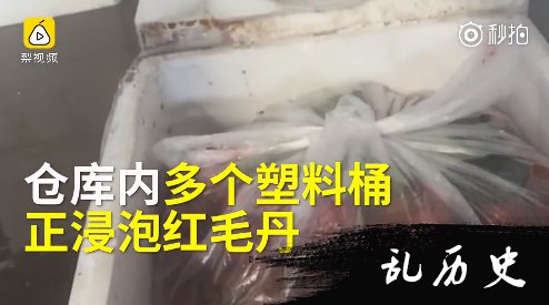 视频截图