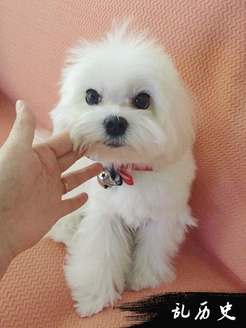黄子韬满血复活 晒帅照自称很好