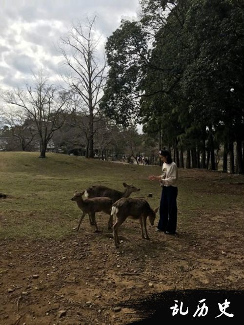 偶遇李沁游日本 与粉丝宝宝合影超接地气