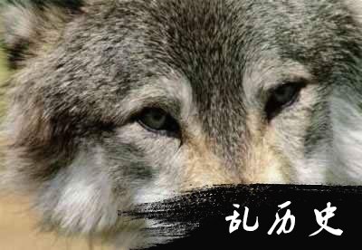 《与狼共舞》获第63届奥斯卡最佳影片奖(转自：todayonhistory.com)