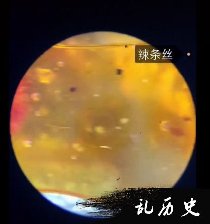 显微镜下发现长条形生物