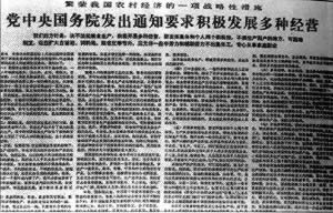 党中央国务院要求积极发展多种经营(todayonhistory.com)