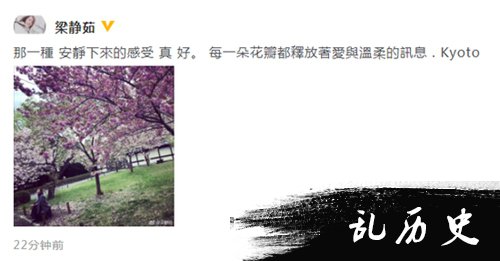 梁静茹赏花