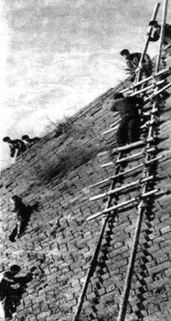 北京开始大规模捕杀麻雀(todayonhistory.com)