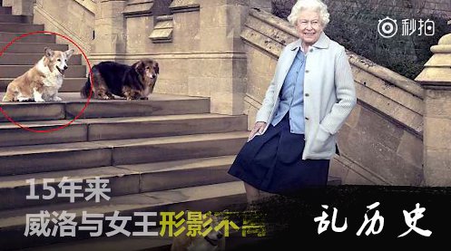 英国女王与爱犬