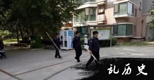 伤人狗出没地区周边小区组成“打狗队”。