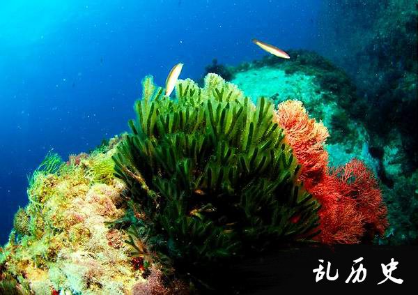 首个“世界海洋日”(todayonhistory.com)